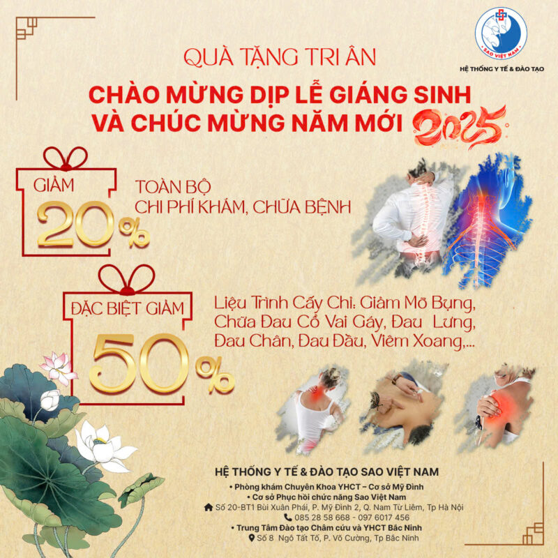 Chúc mừng năm mới - ưu đãi mùa Giáng sinh