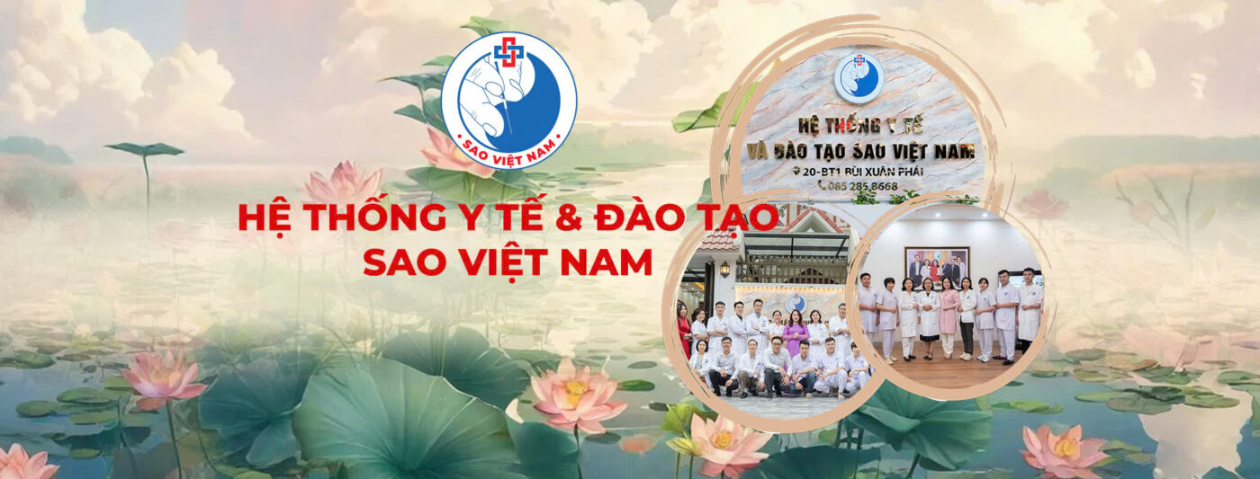 Giới thiệu Hệ thống Y tế và Đào tạo Sao Việt Nam