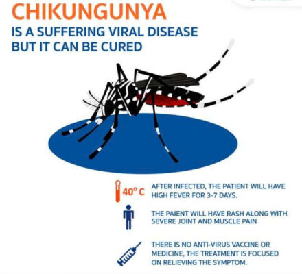 BỆNH CHIKUNGUNYA LÀ GÌ? NGUYÊN NHÂN TRIỆU CHỨNG VÀ CÁCH PHÒNG NGỪA